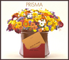 Prisma_cd1.jpg
