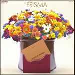 PRISMA EP/Prisma 詳細