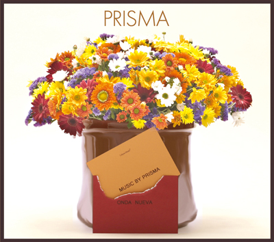 Prismaジャケット(small).jpg